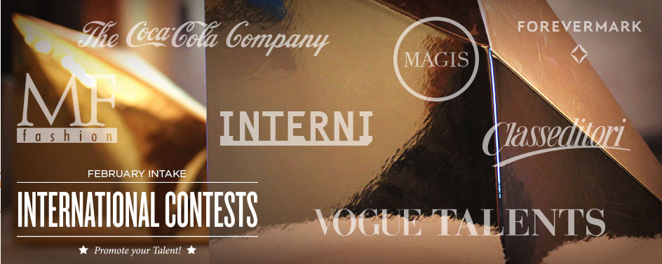 new scholarships domus